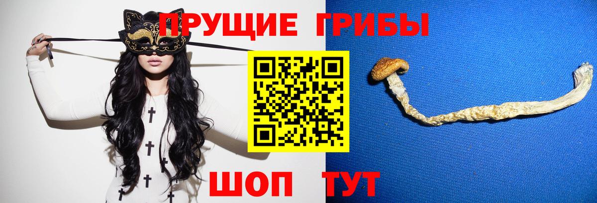 Галлюциногенные грибы MAGIC MUSHROOMS  Галлюциногенные грибы Psilocybine cubensis  Чебаркуль  Вход с VPN 